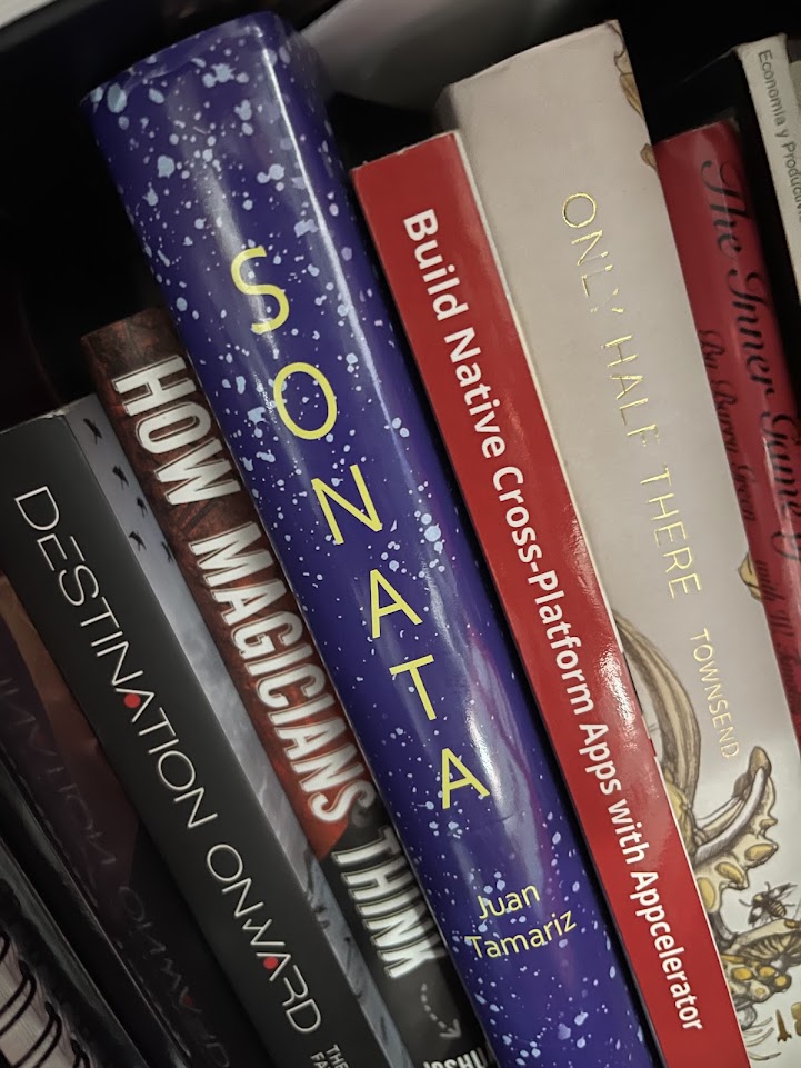 El libro en la estantería